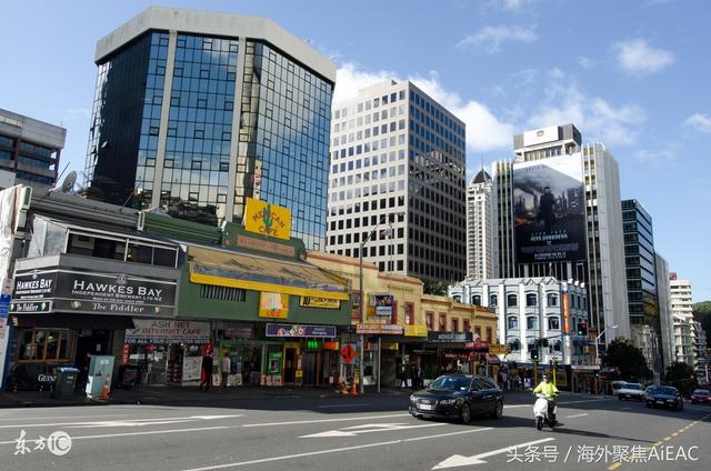NZ知名华人房产商认罪 组团骗贷5000万纽币 承认全部指控
