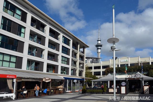 NZ知名华人房产商认罪 组团骗贷5000万纽币 承认全部指控