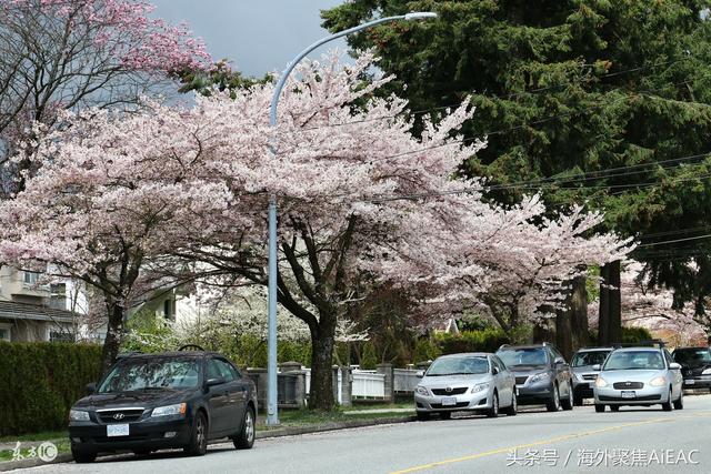 受库存影响 温哥华各类型住宅价格预计将在2018年持续上涨