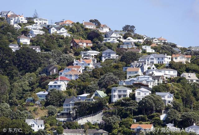 加大住房供应量才是唯一的办法 ，65万纽币可负担 ？反正我不信！