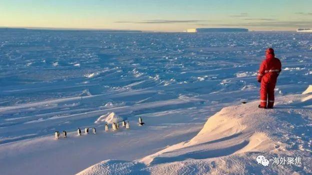 BBC纪录片《王朝》摄影师南极拍企鹅与世隔绝八个月